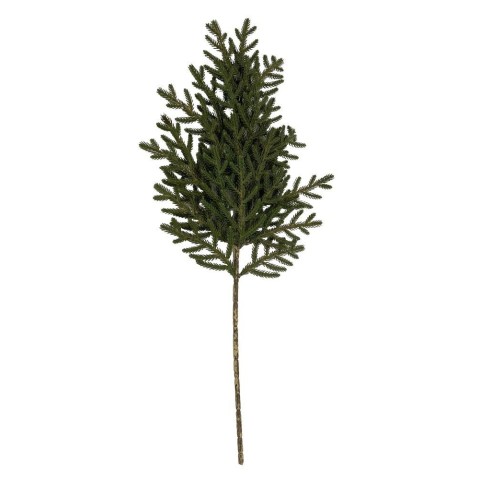 RAMO PINO ZWALM VERDE H.64CM